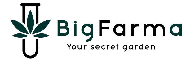 BIGFARMA